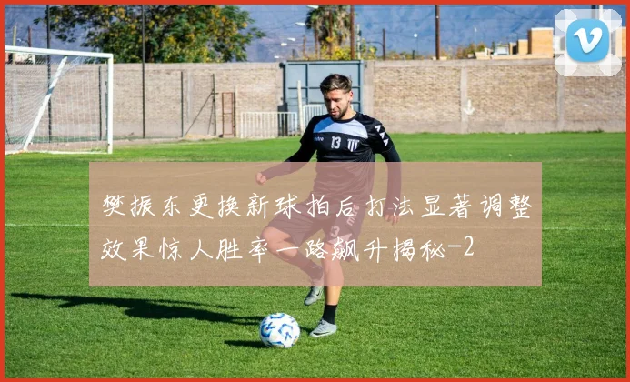 樊振东更换新球拍后打法显著调整效果惊人胜率一路飙升揭秘